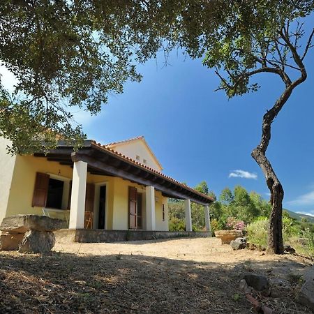Lierus B&B Gonnosfanàdiga Exteriér fotografie